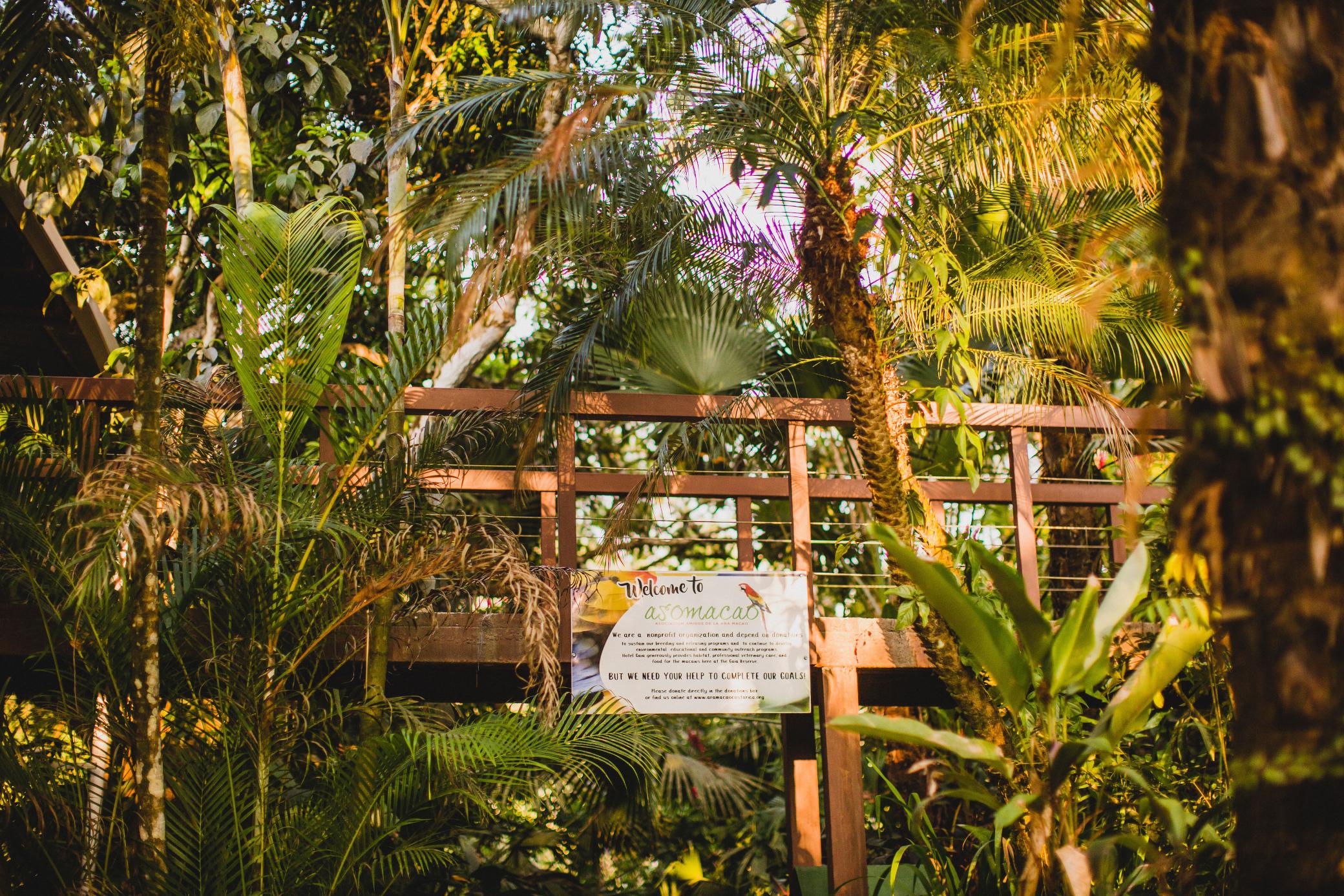 Gaia & Reserve- Adults Only Hotel Nationalpark Manuel Antonio